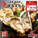 【6月14日~6月15日お届け】北海道 厚岸産 牡蠣 まるえもん 殻付き 9個産地直送! カキ殻むきナイフ付 送料無料 北海道産 お土産 お取り寄せ ギフト 生牡蠣 殻付き 鍋厚岸 牡蠣 バ生ガキ 生食 岩牡蠣 高級【送料無料】 お取り寄せグルメ