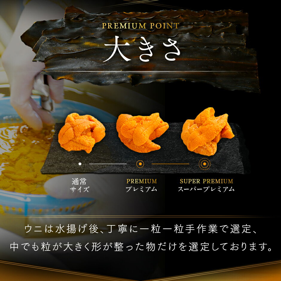 ��2026ǯ��ʪͽ��ۤ��� �̳�ƻ ������ ��ˡ�ֻ� �ץ�ߥ�����������饵�����ˡ�����̵�����礭��γ���������ꤹ�����ð ������ ����ѥå� ���奦�� ���ե� ���� ����Ч ���� £��ʪ �����󤻥���� �ߥ祦�Х�̤���� ���