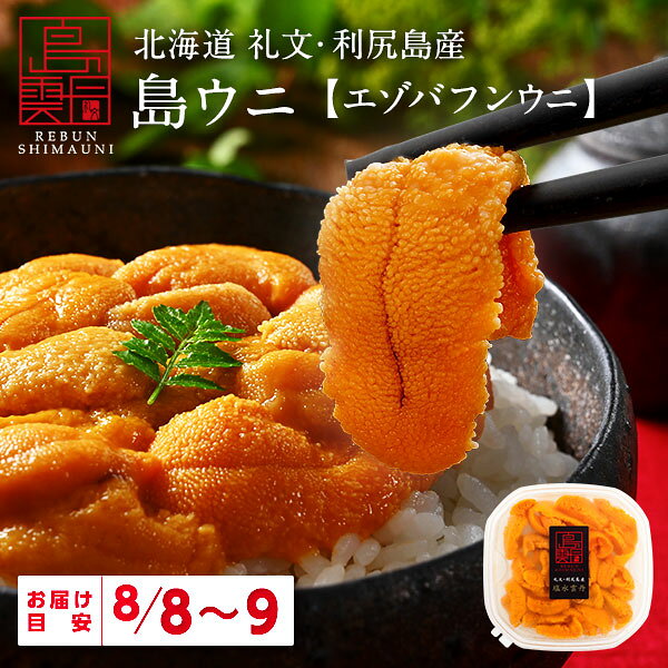 【8月8日～9日お届け】礼文・利尻島産 生エゾバフンウニ 80g天然 うに 無添加 北海道 雲丹 生うに 塩水パック 塩水ウニ ギフト グルメ 海鮮 海産 食べ物 食品 寿司 贈り物 お取り寄せグルメ