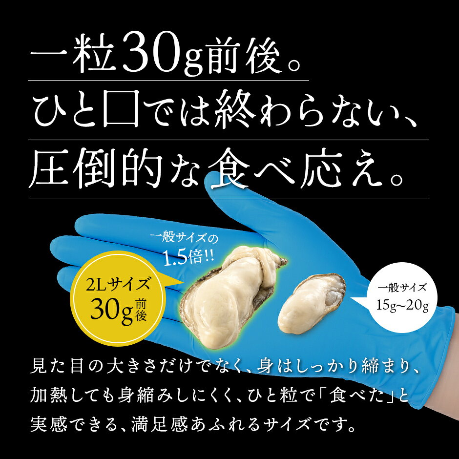 【高評価★4.7】北海道 知内産 大粒むき身牡蠣 300g(10粒前後)全国的にも珍しい海峡育ちの知内の牡蠣は濃厚な旨みが楽しめる北海道 ギフト 海鮮 海産 お取り寄せグルメ 貝 牡蠣 殻剥き不要 加熱用 冷凍 高級 rebun-10012250 島の人 サンプル画像3