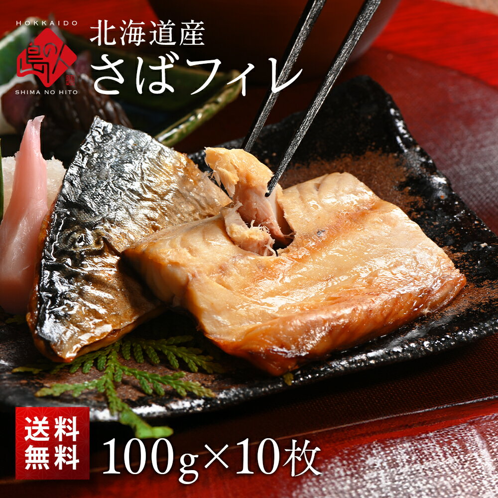 北海道産 さばフィレ 100g 10枚【送料無料】 鯖 干物 焼き魚