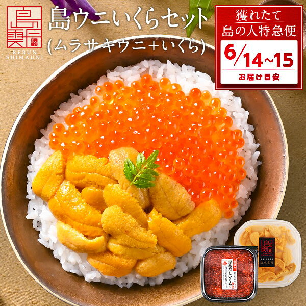 【6月14日～6月15日お届け】うに いくら 北海道 礼文・利尻島産 生キタムラサキウニ 90g＋昆 ...