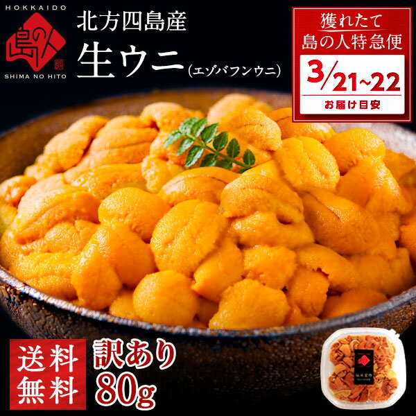 【3月21日～3月22日お届け】うに 天然生エゾバフンウニ 80g 北方四島産【送料無料】【色が赤い訳あり品】北海道 生うに 塩水 パック 雲丹 バフンウニ 海鮮 海産物 食べ物 食品 お取り寄せグルメ 無添加