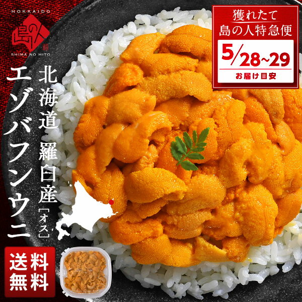 【5月28日～29日お届け】羅臼・知床産 生エゾバフンウニ オス 100g(ウニ丼大盛1杯分)【送料無料】北海道 生うに 塩水ウニ 塩水パック うに 雲丹 グルメ 食品 食べ物 寿司 海鮮丼 ミョウバン不使用 お取り寄せグルメ 海鮮 バフン バフンウニ 高級