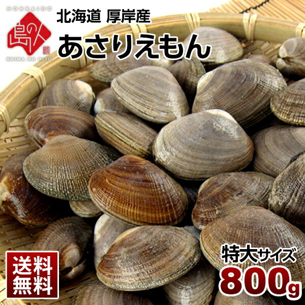 北海道 厚岸産 ごろっと殻付特大あさり 800g(あさりえもん)獲れたてをお届け【送料無料】【砂出し済】みそ汁、パエリア、酒蒸しにブランドあさり 浅利 北海道 貝 お取り寄せ 海鮮 産地直送 高級 お取り寄せグルメ