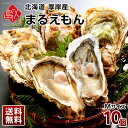 北海道 厚岸産 牡蠣 まるえもん 殻