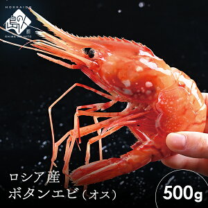ボタンエビ 500g(16-20尾前後)透き通る身と濃厚なエビ味噌【リピート率No.1】お取り寄せグルメ 北海道 えび エビ 冷凍 海老 刺身 ボタン海老 牡丹海老 牡丹エビ ボタン海老 海鮮 海産物 トヤマエビ