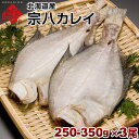 カレイ 北海道産 宗八鰈(そうはちカレイ) 250-350g 3尾セット旨さの秘密は自慢の昆布干物 北海道 お土産 お取り寄せ 食品 食べ物 魚 高級 青空レストラン