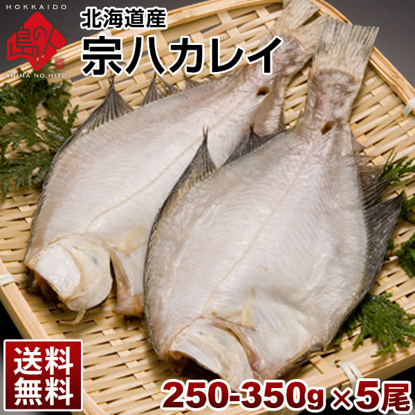 　 生干し干物 宗八カレイ 5尾 北海道産 ページ上に記載 1尾あたり 250-350g×5尾 のし対応可能 商品到着後冷蔵保管で3日程度※生ものですのでお早めにお召し上がり下さい