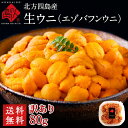 うに 天然生エゾバフンウニ 80g 北方四島産【送料無料】【色が赤い訳あり品】北海道 生うに 塩水 パック 雲丹 バフン…