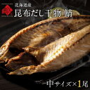 サバ 北海道産 鯖(サバ) 中サイズ 1尾昆布干物 北海道 お土産 お取り寄せ 食品 食べ物 魚 高級 青空レストラン