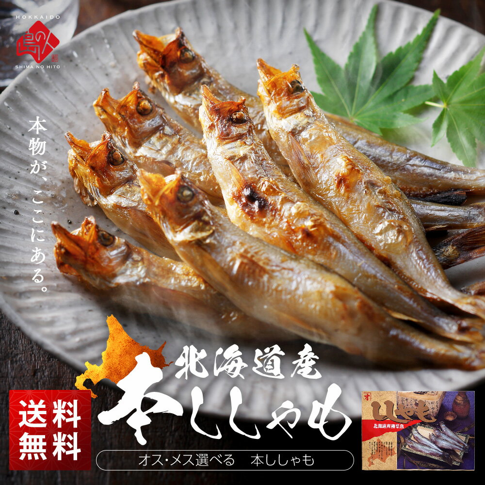 【肉厚・濃厚】北海道産 本ししゃも(オス／メス)【送料無料】高級 柳葉魚 お取り寄せグルメ 内祝い お返し 冬グルメ ギフト お歳暮 御歳暮 景品のサムネイル
