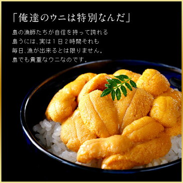 うに 送料無料 島うにイクラ丼セット【無添加】生キタムラサキウニ 180g+昆布だしいくら 130g 2〜3人前程度【送料無料】 北海道 お土産 お取り寄せ ギフト 生うに 生ウニ いくら うに 北海道 海鮮 海鮮丼 ヒルナンデス! 9/13