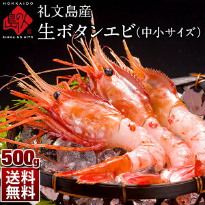 礼文島産 生ボタンエビ 中小サイズ 500g(16〜20尾前後)【送料無料】北海道 北海道産 エビ 海老 お取り寄せグルメ 食品 食べ物 海鮮 鮮魚 刺身 活エビ 青空レストラン 絶品 お取り寄せ 秋 グルメ