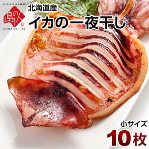 肉厚ジューシー♪イカの一夜干し×10枚（小サイズ）【送料無料】「イカ」の旨みを熟成させる一夜干し加工北海道 お取り寄せグルメ 干物 食品 食べ物 海鮮 海産物 イカ 青空レストラン