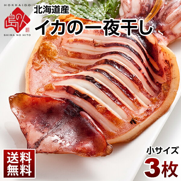 肉厚ジューシー♪イカの一夜干し×3枚（小サイズ）【送料無料】「イカ」の旨みを熟成させる一夜干し加工北海道 お取り寄せグルメ 干物 食品 食べ物 海鮮 海産物 イカ 青空レストラン