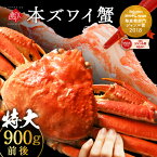 【大型サイズ】本ズワイガニ 姿 900g前後【送料無料】かに カニ 蟹 ずわい ズワイ蟹 プレゼント グルメ ギフト カナダ 誕生日 プレゼント お取り寄せグルメ 食べ物 食品 内祝い お返し 誕生日 贈り物 海鮮 寒中見舞い 出産 結婚