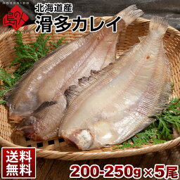 カレイ 北海道産 滑多鰈(なめたかれい)200-250g 5尾セット【送料無料】旨さの秘密は自慢の【利尻昆布】昆布干物 北海道 お土産 お取り寄せ 食品 食べ物 魚 高級 青空レストラン