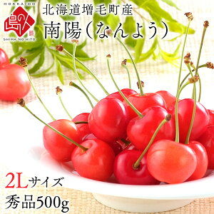 さくらんぼ 北海道産 南陽 500g(2Lサイズ)【産地直送】北海道の大地で佐藤さんが育てたサクランボチェリー 果物 フルーツ グルメ ギフト プレゼント 食品 食べもの 景品 贈り物 お土産 お取り寄せグルメ お中元 御中元 内祝い 南陽