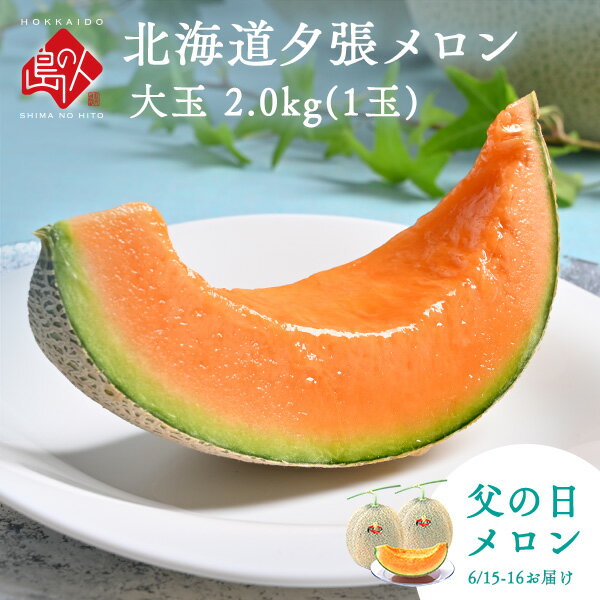 【6月15日～16日お届け】父の日 ギフト 夕張メロン 特大2.0kg(1玉)【送料無料】【熨斗対応】【共撰優品】メロン 北海…