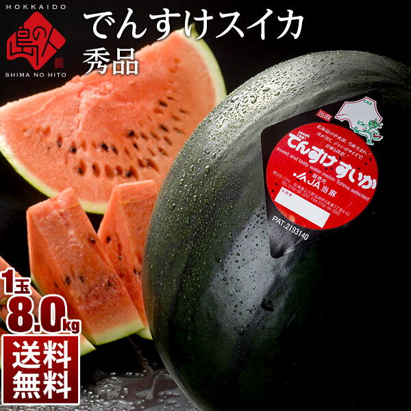 【8月24日お届け】スイカ でんすけすいか 北海道 当麻産 8.0kg前後×1玉【送料無料】【...