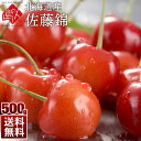 【2020年販売分】北海道産 さくらんぼ 佐藤錦 500g(...