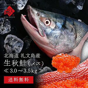 マラソン限定745円OFF 北海道 礼文島産 島鮭 メス(生筋子入り)3.0〜3.5kg 秋鮭【送料無料】獲れたての秋鮭を一本丸々お届け！お取り寄せグルメ さけ シャケ 生 秋鮭 あきあじ 鮭 天然 筋子 生いくら 食品 海鮮 海産物 秋グルメ 魚 セール