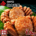 \2点購入で1000円OFFクー...