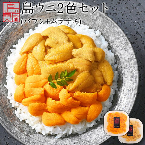 【先行予約開始】うに ウニ 幻のうに2色食べ比べセット 180g【送料無料】日本最北の島 北海道 礼文・利尻島産エゾバフンウニ・キタムラサキウニ 各90g【配達日指定不可】塩水パック ギフト グルメ 食品 寿司 塩水うに 生うに