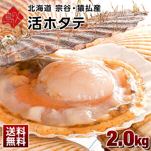 【選べるお届け日】 北海道 宗谷・稚内産 活ホタテ 2.0kg(10枚前後)【送料無料】未冷凍 生食OK！殻付き 帆立 ほたて 貝柱 グルメ 食品 貝 お取り寄せグルメ 海鮮 バーベキュー 高級 秘密のケンミンshow