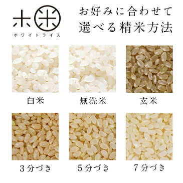 最高峰の安心安全を 放射能検査済み 特A 北海道産 ななつぼし 新米 10kg 送料無料 無洗米 白米 玄米(選べる精米方法)令和元年度産 米 お米 ホワイトライス 残留農薬検査済み 減農薬おにぎり お弁当 グルメ 健康 道産 食品