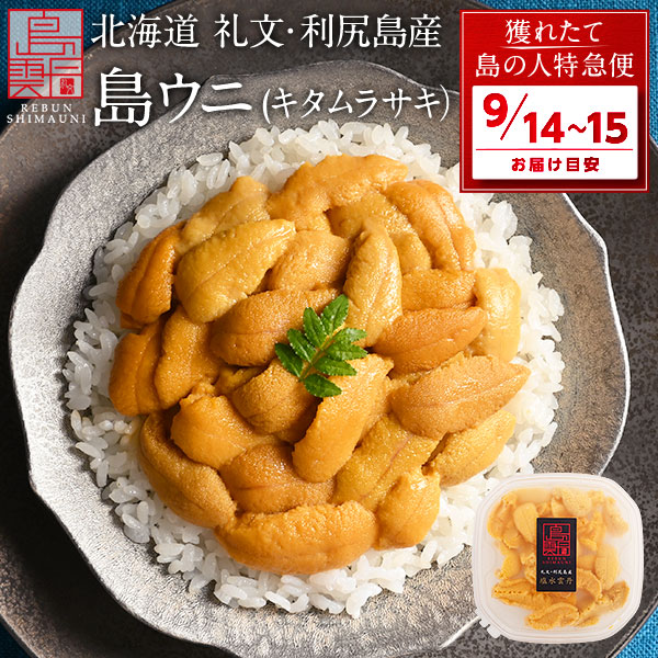 【9月14日～9月15日お届け】礼文・利尻島産 生キタムラサキウニ 90g天然 うに 北海道 無添加 雲丹 生うに 塩水パック 塩水ウニ ギ