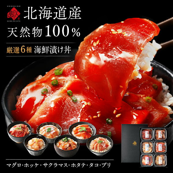 父の日 ギフト 北海道産100％ 海鮮丼 6種セットギフト 内祝い お返し 食べ物 食品 グルメ 高級 お酒 詰め合わせ 誕生日 お取り寄せグルメ 出産 結婚 60代 70代 80代 マグロ ホタテ 鮭 景品 贈り物 海鮮 海産 お礼 お中元 御中元