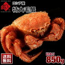 【訳あり限定特価】超特大 1尾 850g(足折れ 訳あり)特...