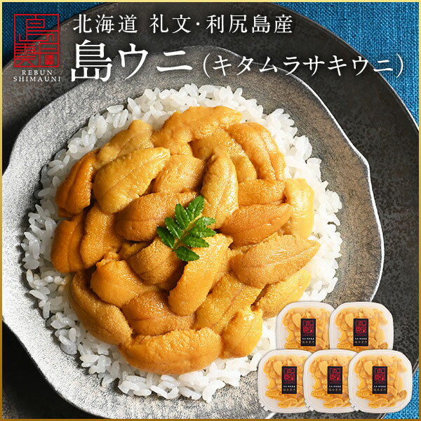 うに 北海道 礼文・利尻島産 生キタムラサキウニ 450g(うに丼5杯分)雲丹 無添加 生うに 塩水パック 塩水ウニ ギフト グルメ 食品 食べもの 海鮮 海鮮丼 寿司 贈り物 お取り寄せグルメ ミョウバン未使用 ご飯のお供