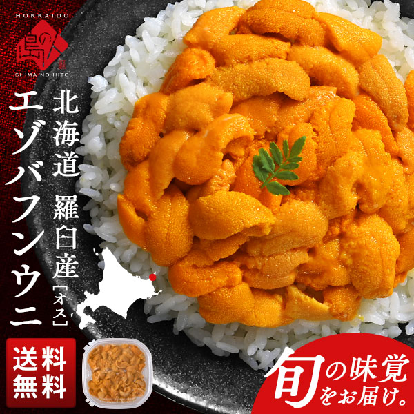 北海道 知床・羅臼産 生エゾバフンウニ オス 100g(ウニ丼大盛1杯分)【送料無料】生うに 塩水ウニ 塩水パック うに 雲丹 グルメ 食品 食べ物 寿司 海鮮丼 ミョウバン不使用 お取り寄せグルメ 海鮮 バフン バフンウニ 高級