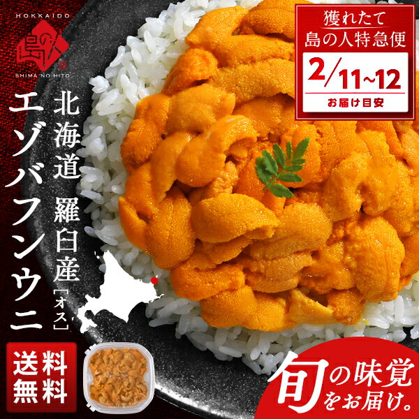 【2月11日～2月12日お届け】北海道 知床・羅臼産 生エゾバフンウニ オス 100g(ウニ丼大盛1杯分)【送料無料】生うに 塩水ウニ 塩水パック うに 雲丹 ...