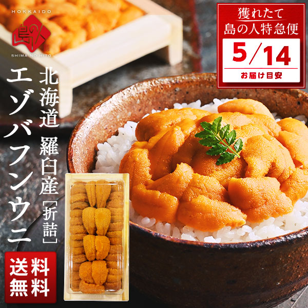 Other - 【5月14日お届け】北海道 知床・羅臼産 折エゾバフンウニ(黄色) 120g(ウニ丼大盛1杯分)【送料無料】生うに 折ウニ 折詰 うに 雲丹 グルメ 食品 食べ物 寿司 海鮮丼 お取り寄せグルメ 海鮮 バフン バフンウニ 高級