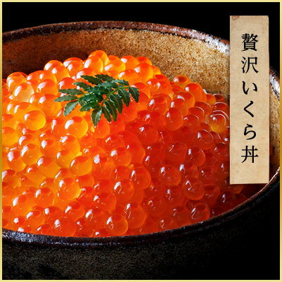 北海道産 オホーツクサーモン 昆布だしいくら 500g ますこ 北海道産 オホーツクサーモン 昆布だしいくら 500g ますこ