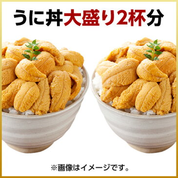 【一番人気】日本最北の極上 無添加生うにキタムラサキウニ180g(90g×2パック)【送料無料】礼文 利尻島産楽天ランキング連続1位塩水うに 生ウニ うに ウニ 生うに ミョウバン不使用 北海道 雲丹 高級 お取り寄せ 海鮮 礼文島 エゾムラサキウニ