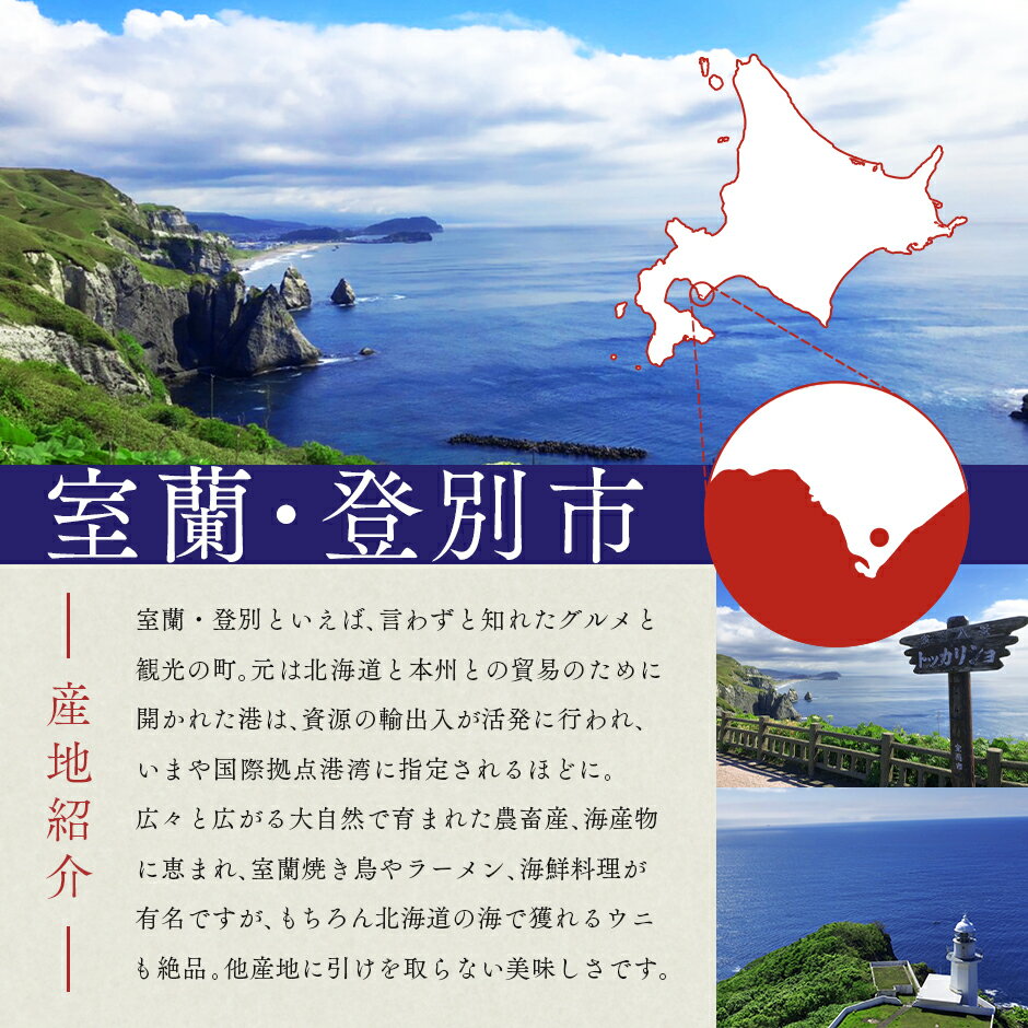 うに 北海道 室蘭・登別産 生エゾバフンウニ 90g【送料無料】雲丹 無添加 生うに 塩水パック 塩水ウニ ギフト グルメ 食品 食べもの 海鮮 海鮮丼 寿司 贈り物 お取り寄せグルメ ミョウバン未使用 ご飯のお供 バフン バフンウニ