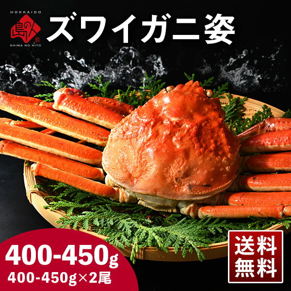 【2尾セット】 本ズワイガニ 姿 400g-450g前後×2まとめ買いがお得 冷凍【送料無料】かに カニ 蟹 ずわい ズワイ蟹 プレゼント グルメ ギフト 誕生日プレゼント 食品 食べ物 誕生日 海鮮 お取り寄せ お祝い