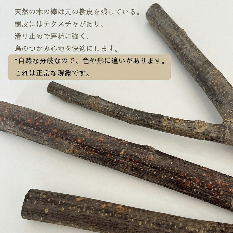 天然木 インコ 止まり木 鳥用パーチ オウム 吸盤式 風呂 爪とぎパーチ ストレート ...