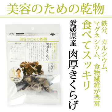 美容のための乾物「愛媛県産 肉厚きくらげ」10g【2,980円以上で送料無料】【メール便OK（同梱で2つまで）】【乾物ヨーグルトに】