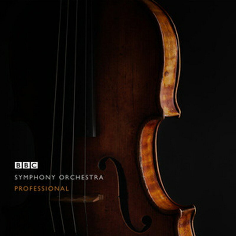 ®Ǽ ٥ԡɥɤ㤨SPITFIRE AUDIO BBC SYMPHONY ORCHESTRA PROFESSIONAL(饤Ǽ(2ְǼ եȥפβǤʤ156,134ߤˤʤޤ