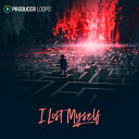 PRODUCER LOOPS I LOST MYSELF(オンライン納品)(2時間以内に納品) プラグインソフト