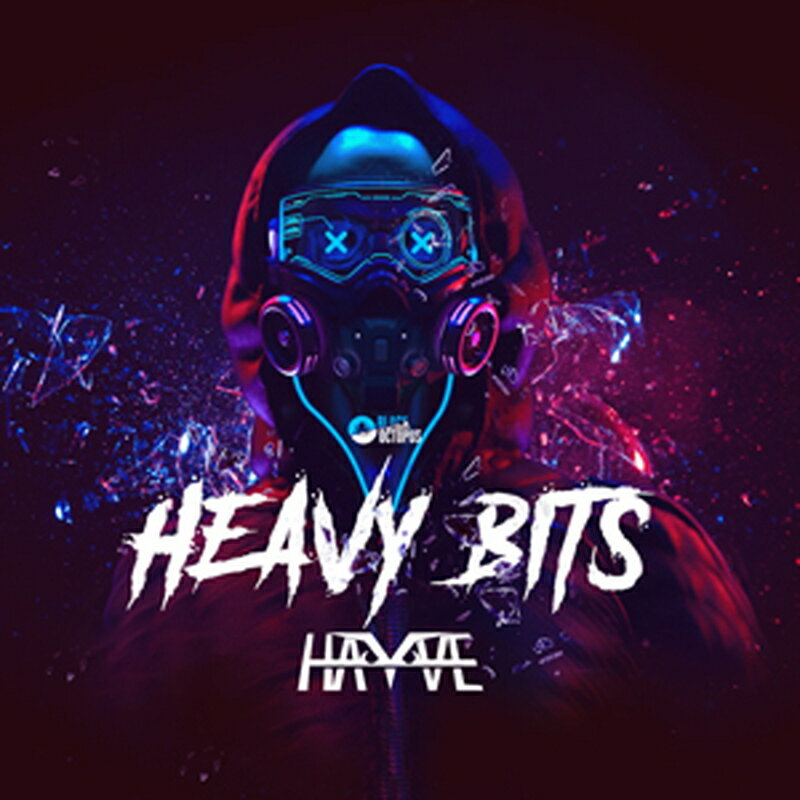 BLACK OCTOPUS HAYVE - HEAVY BITS(オンライン納品)(2時間以内に納品) プラグインソフト