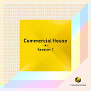 TRANSMISSION COMMERCIAL HOUSE SESSION 1(オンライン納品)(2時間以内に納品) プラグインソフト