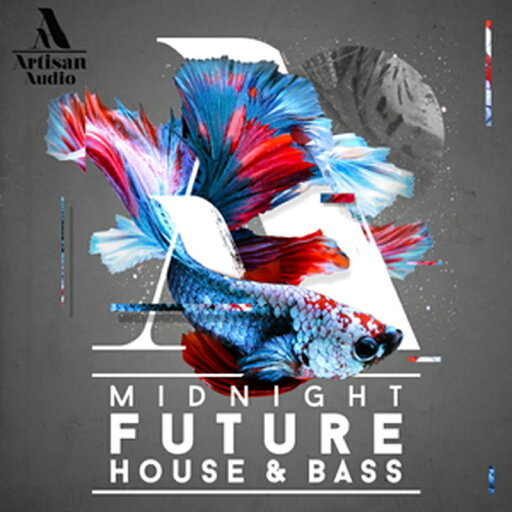 ARTISAN AUDIO MIDNIGHT FUTURE HOUSE & BASS(オンライン納品)(2時間以内に納品) プラグインソフト ARTISAN AUDIO MIDNIGHT FUTURE HOUSE & BASS(オンライン納品)(2時間以内に納品) プラグインソフト