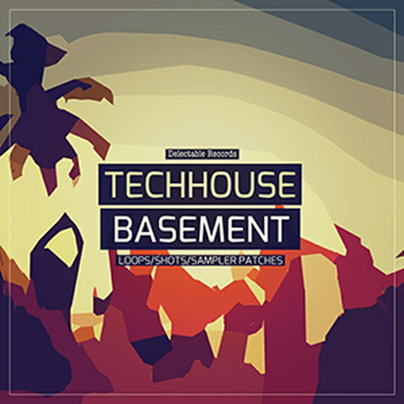 DELECTABLE RECORDS TECH HOUSE BASEMENT(オンライン納品)(2時間以内に納品) プラグインソフト